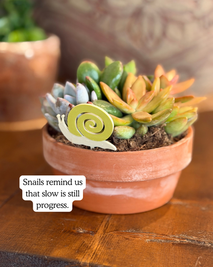 Potted succulent plant with a decorative snail plick on a wooden surface, featuring a motivational quote.