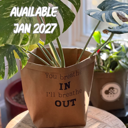 8 Inch Washable Paper Pot Covers