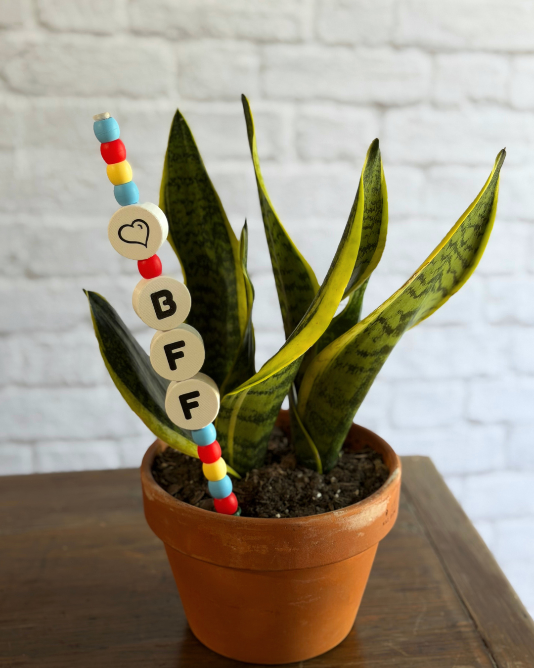 BFF Plant Kandi