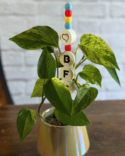 BFF Plant Kandi