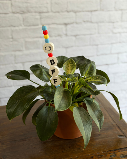 BFF Plant Kandi
