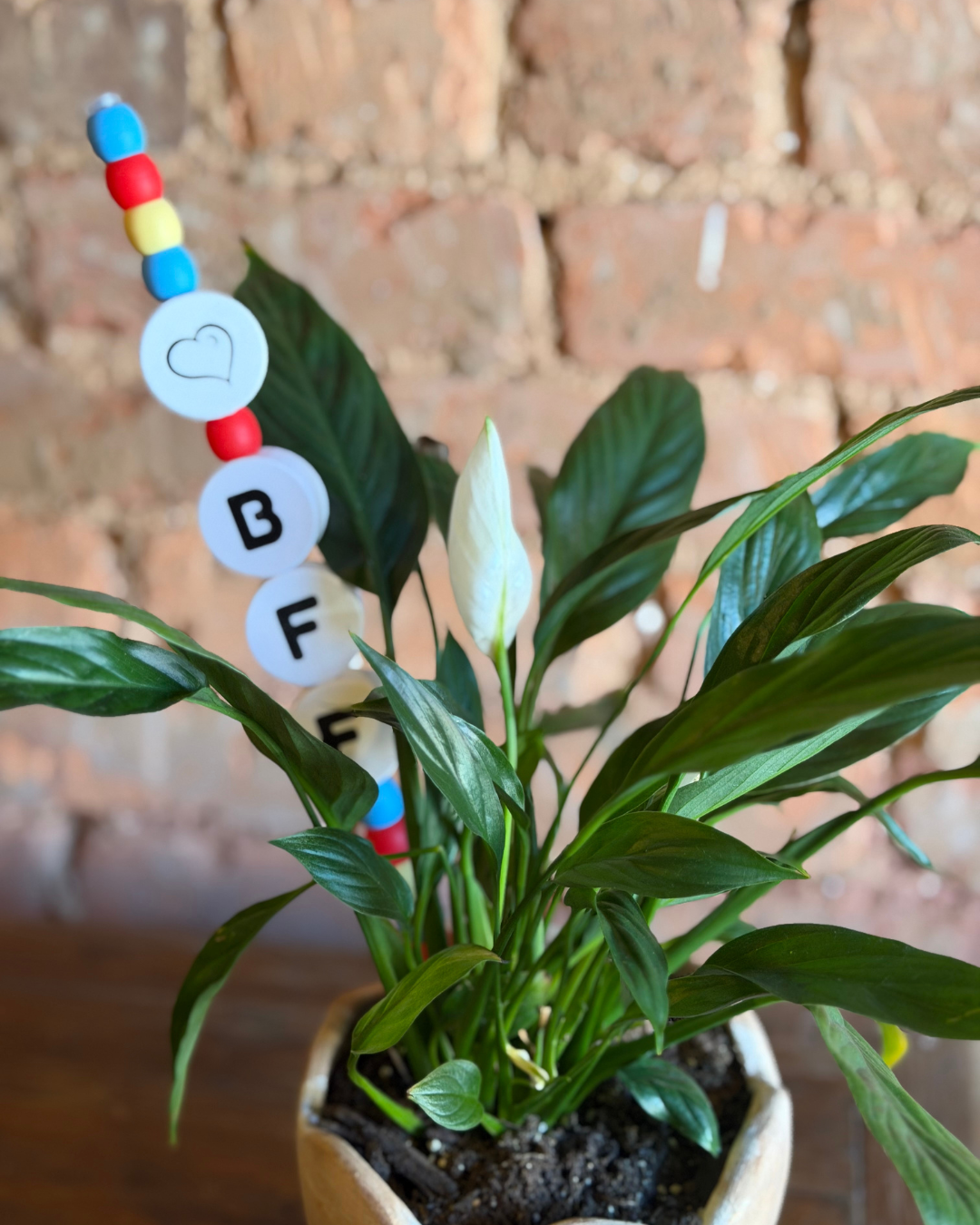 BFF Plant Kandi