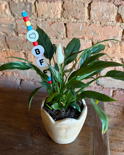 BFF Plant Kandi
