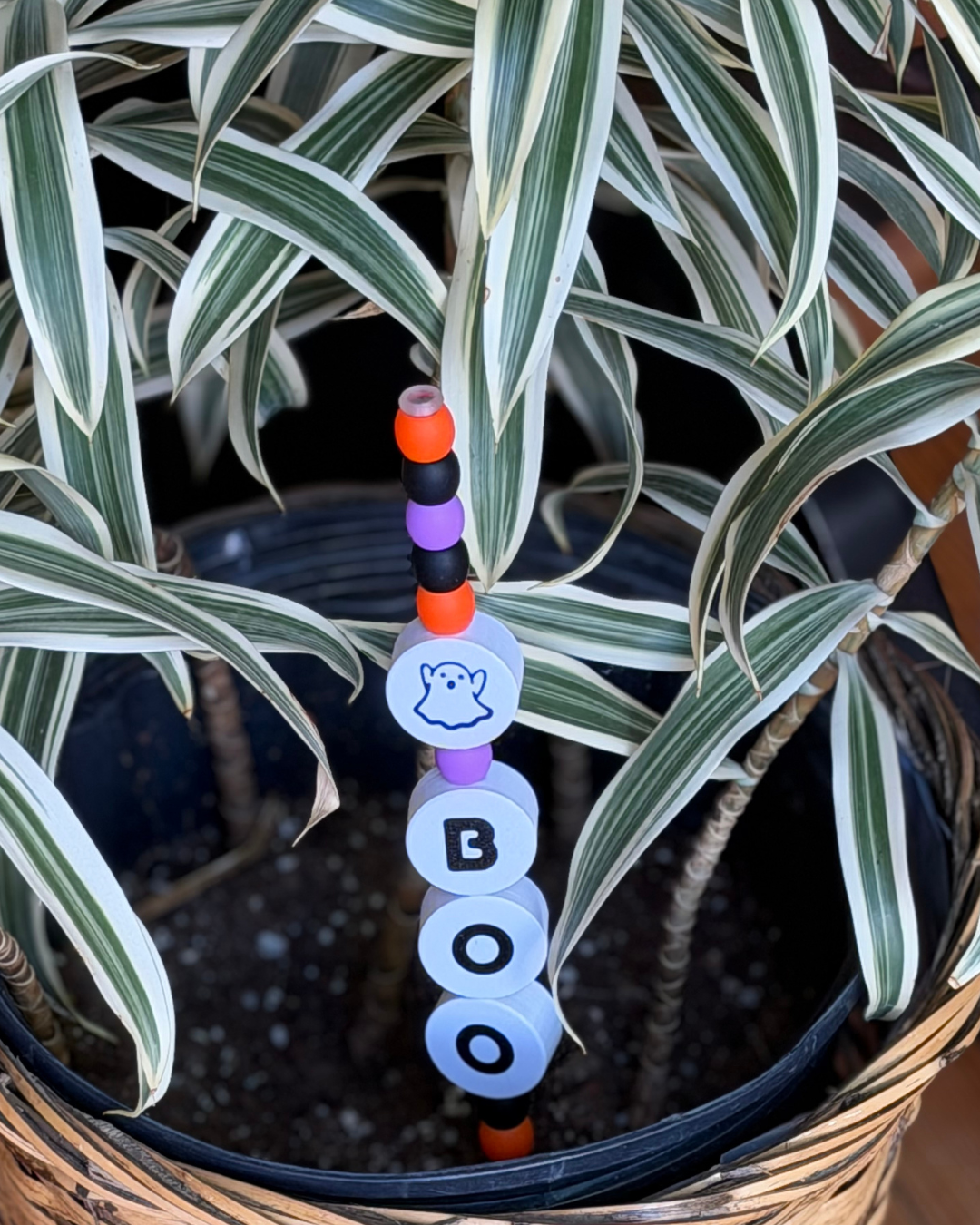 BOO Plant Kandi