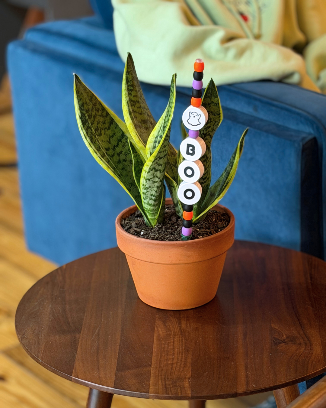 Halloween plant Kandi decoration in a snake plant on a wooden table next to a blue sofa