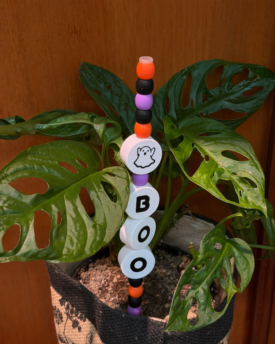Halloween Plant Kandi decor in a swiss cheese monstera