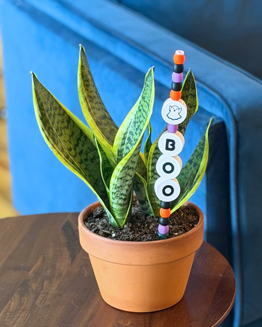 A potted snake plant on a wooden table in front of a blue sofa, with a decorative orange-and-purple beaded stake inserted in the soil and white round letter tiles spelling BOO.