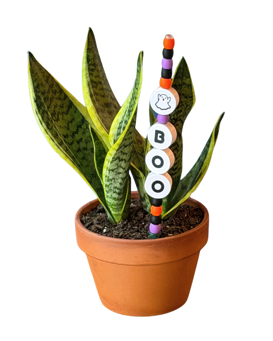 A potted snake plant in a terracotta pot with a decorative vertical stake featuring colorful beads and white circular letters spelling BOO.