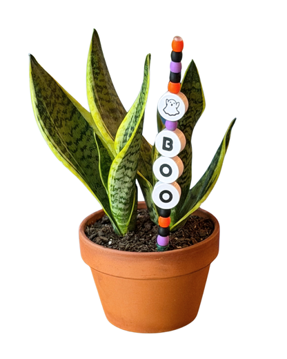 A potted snake plant in a terracotta pot with a decorative vertical stake featuring colorful beads and white circular letters spelling BOO.