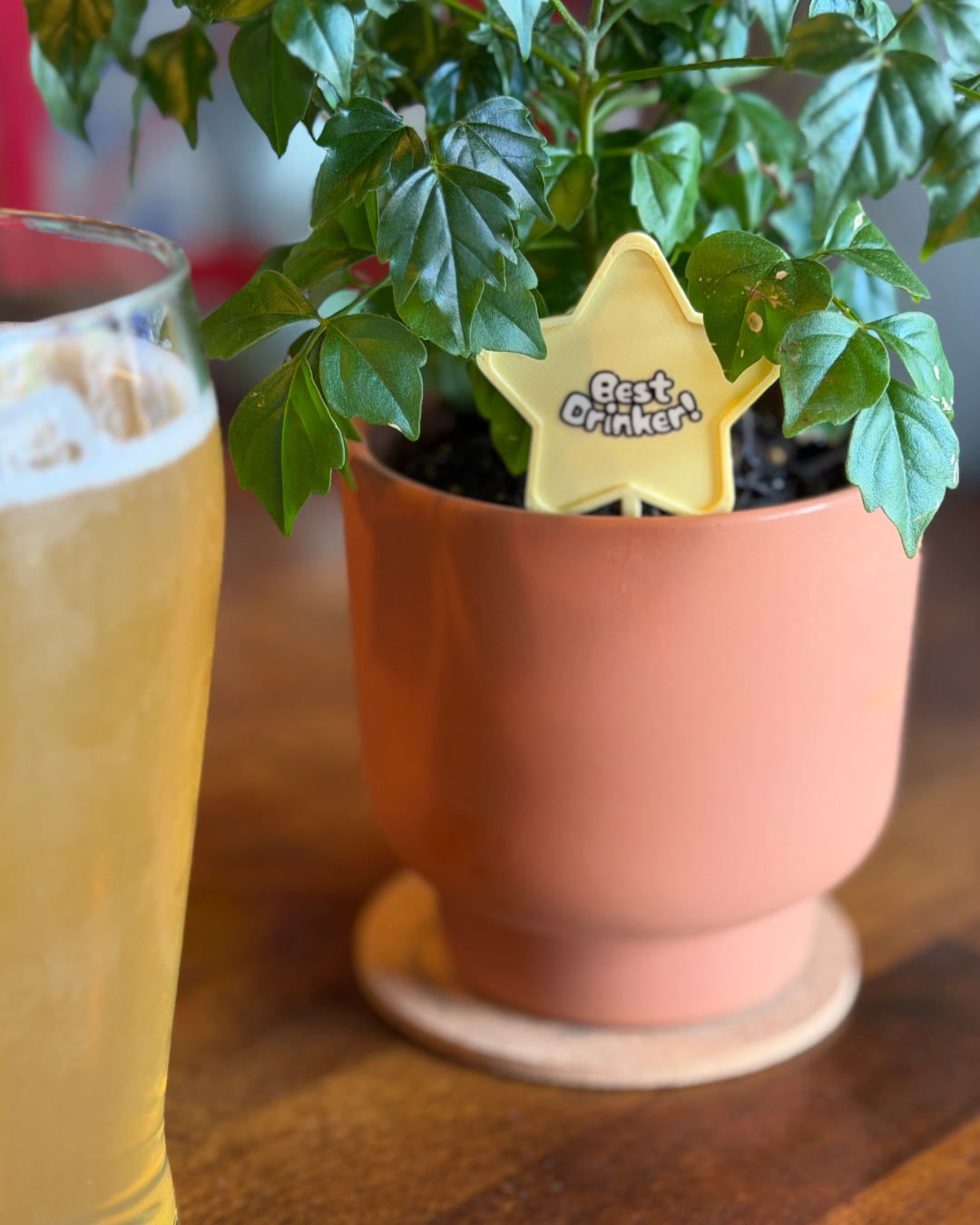 Superlative Plicks for Plants