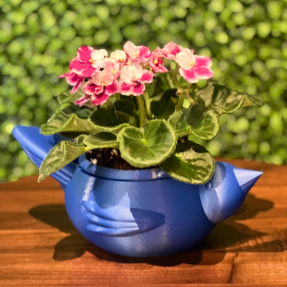 Chunky Bird self watering planter 