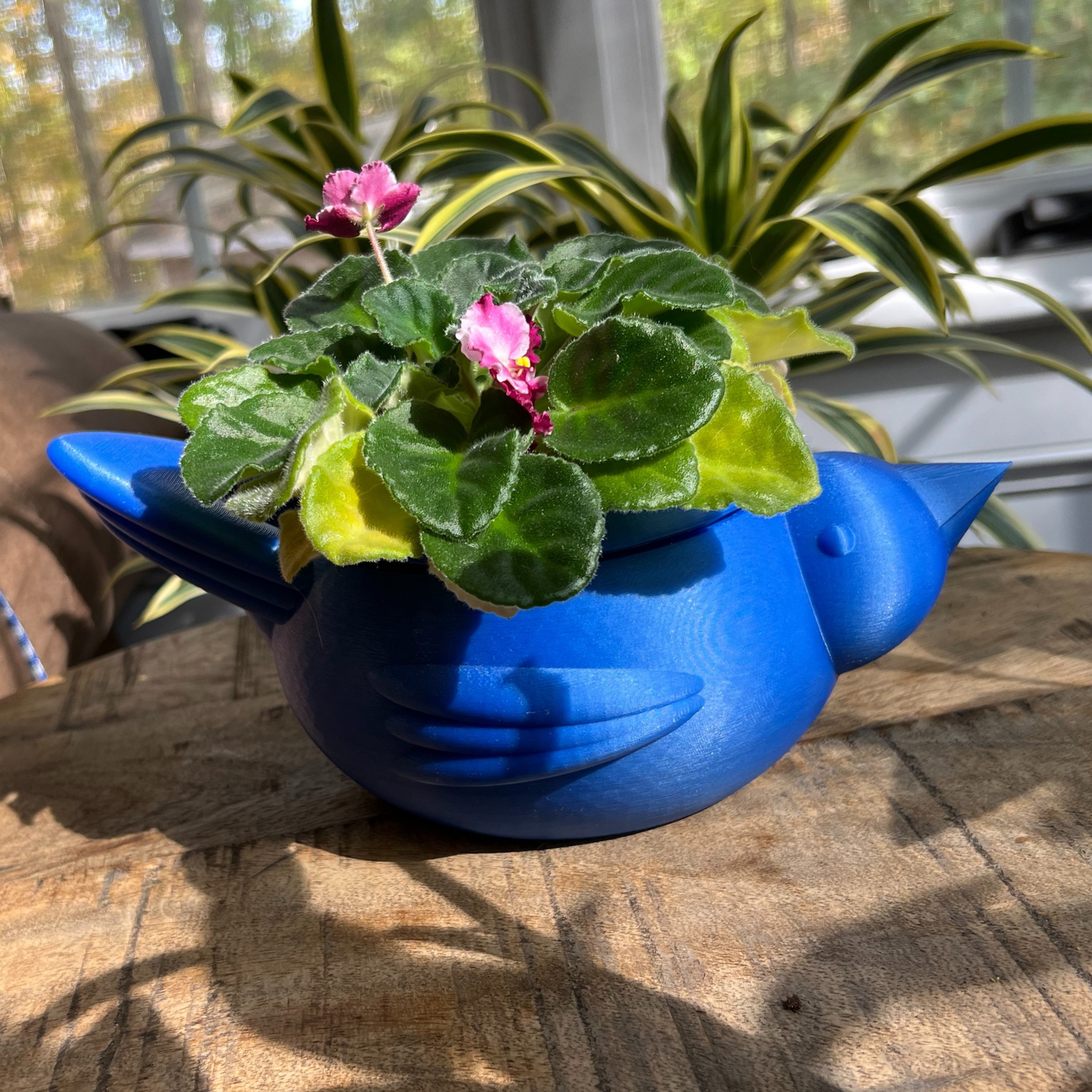 Chunky Bird self watering planter with a small plant and pink flowers on a wooden surface.