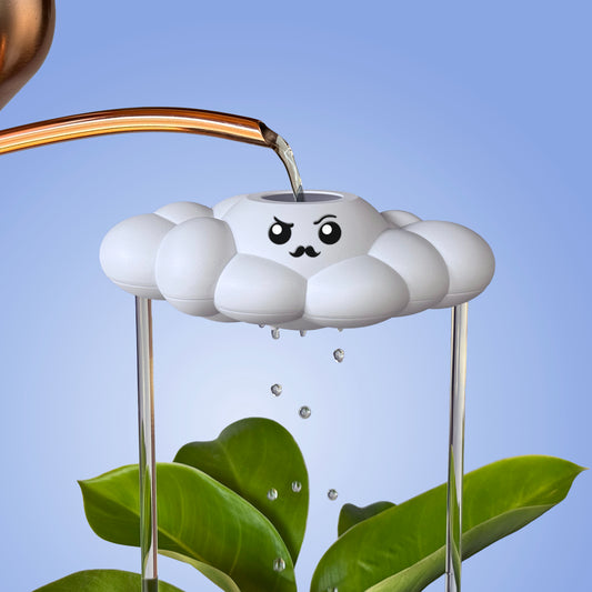 Carl the Cloud