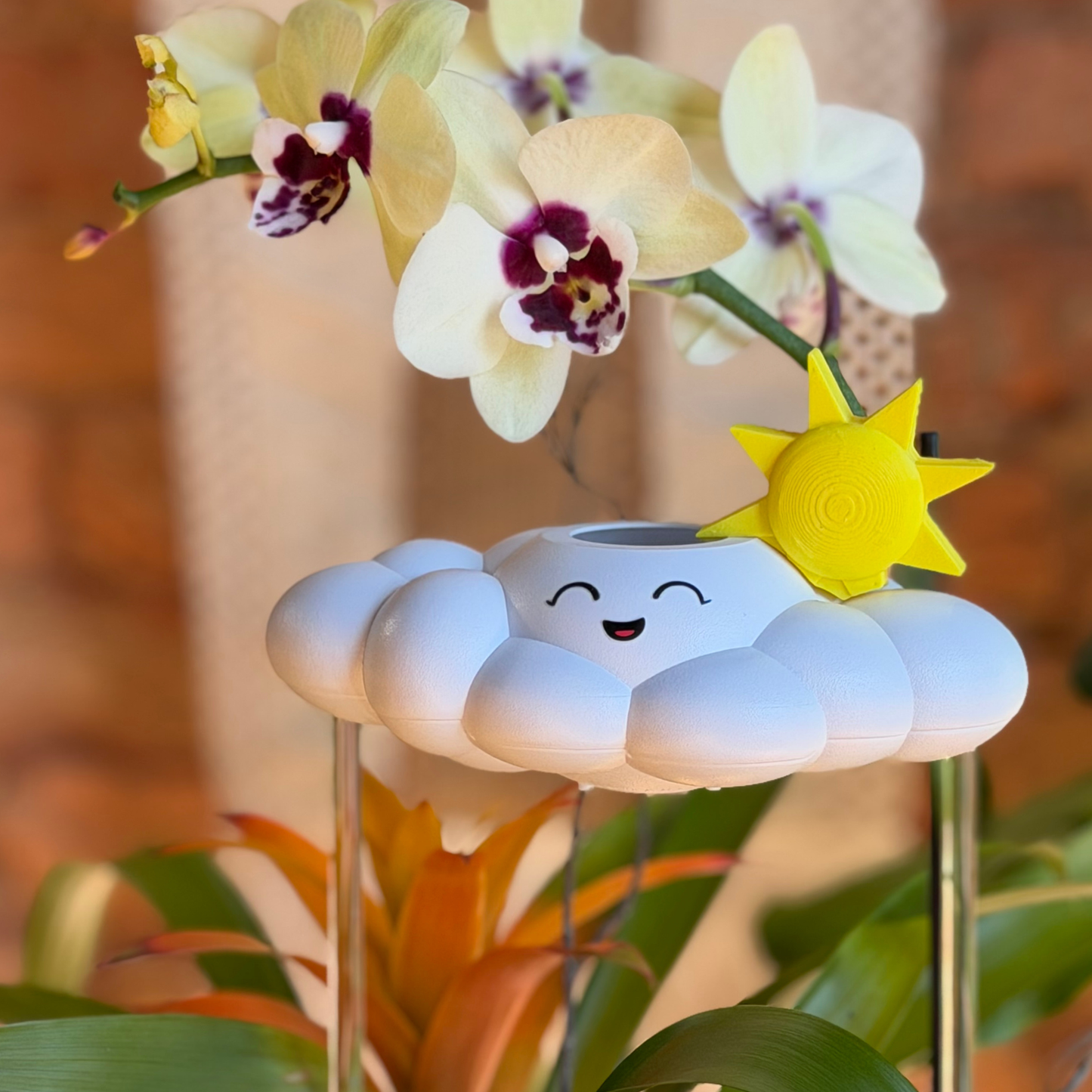 Sun Charm (5 pack)