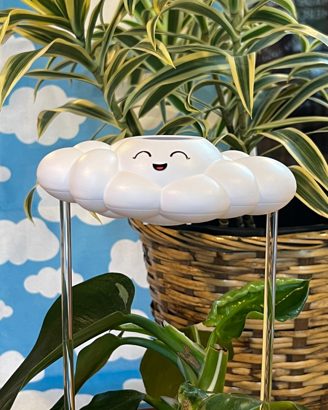 Chelsea the Cloud