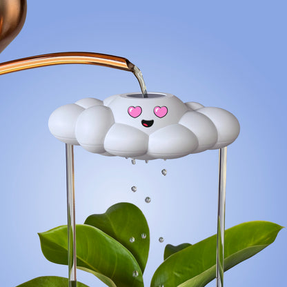 Chloe the Cloud