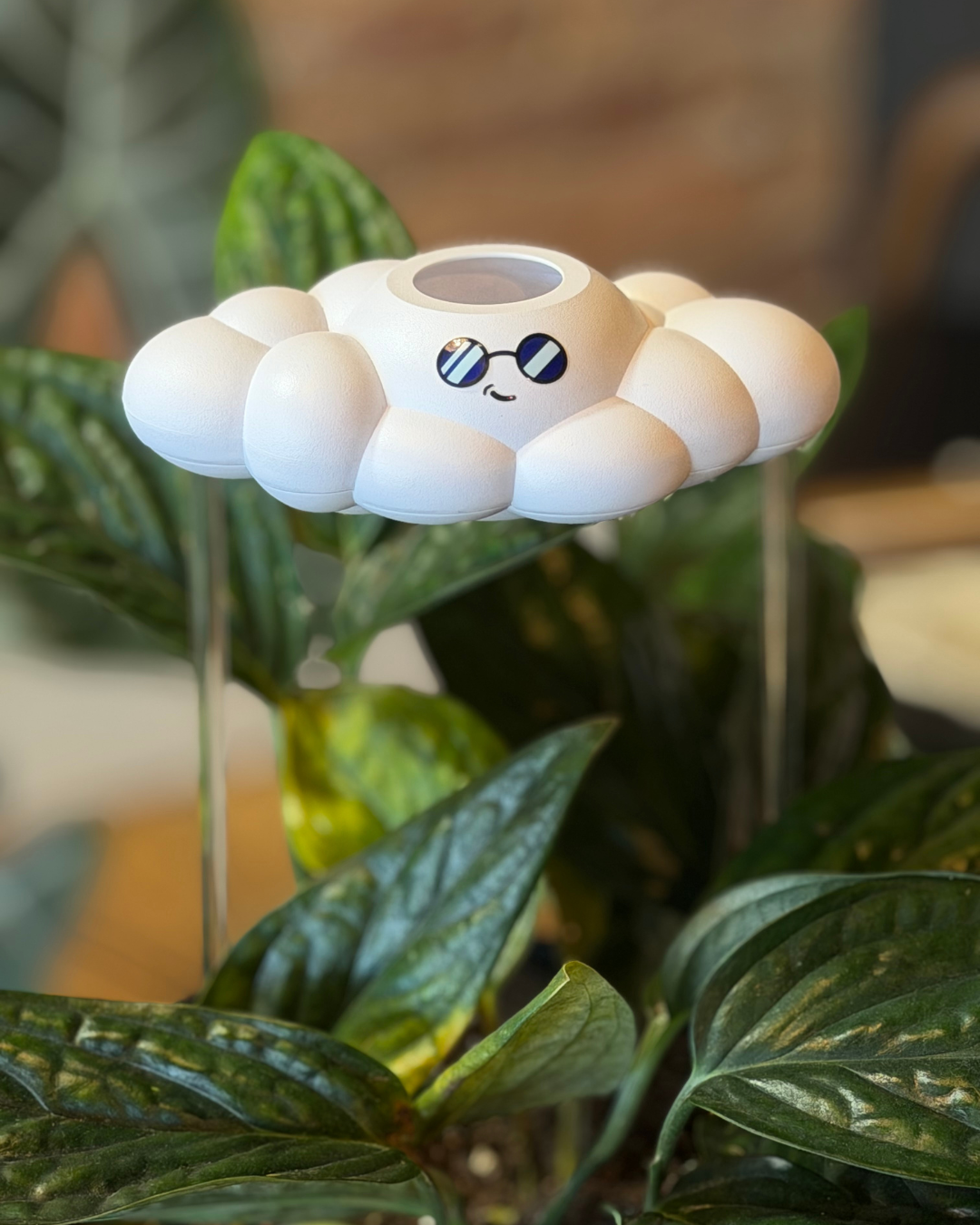 A white cloud-shaped plant waterer with a smiling face and sunglasses, planted among green houseplant leaves.