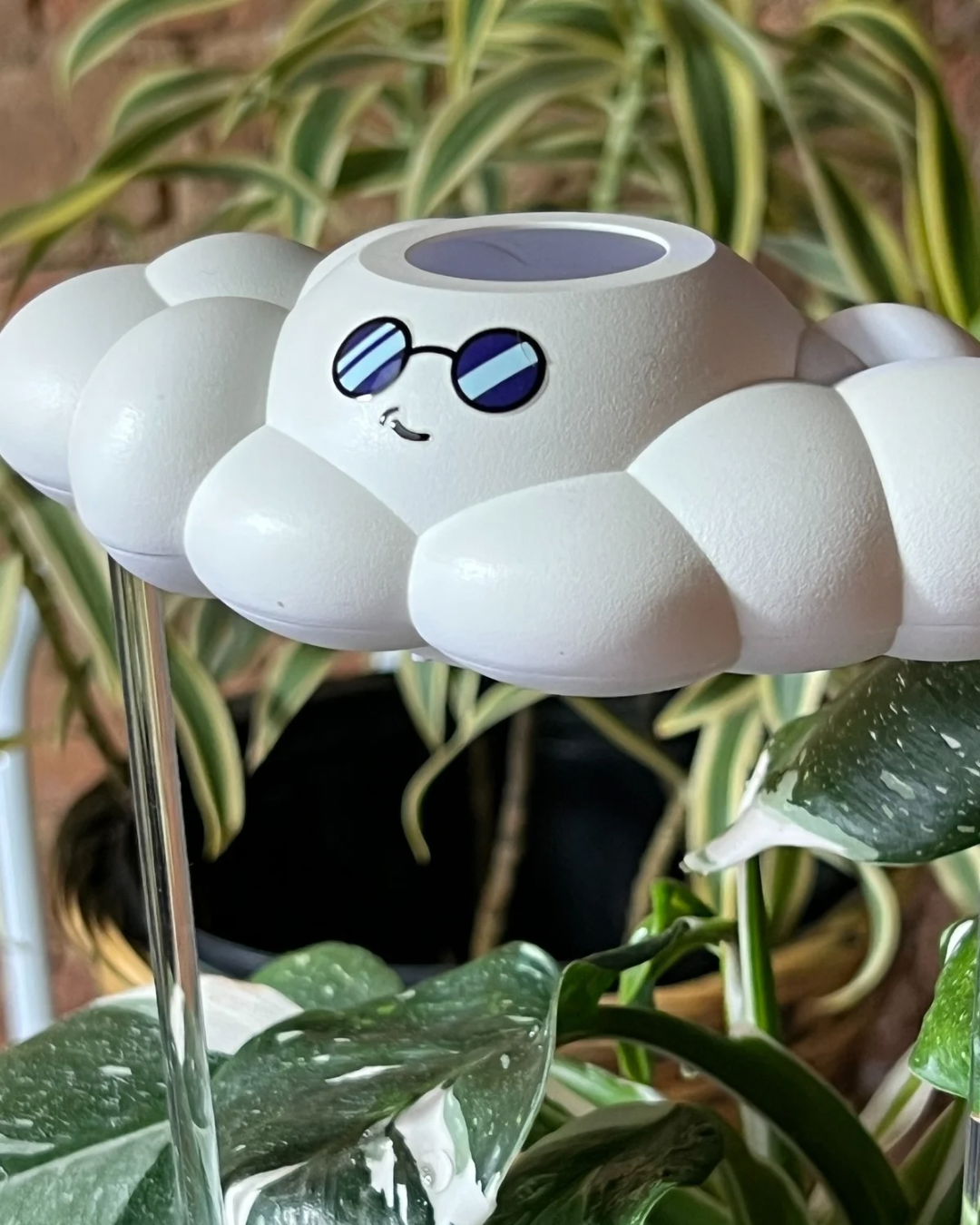 A white cloud-shaped plant waterer with blue-tinted sunglasses and a small smiley face, mounted on a clear stake in a plant arrangement.