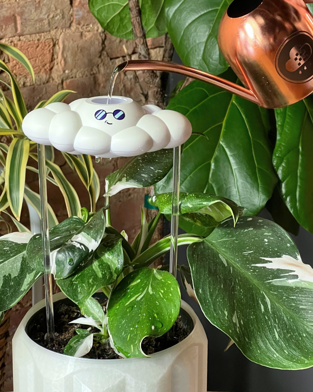 A white cloud-shaped plant waterer with a small blue face, shown watering a green houseplant. A copper-colored metal watering can is pouring water into the cloud top, with other plants and a brick wall in the background.