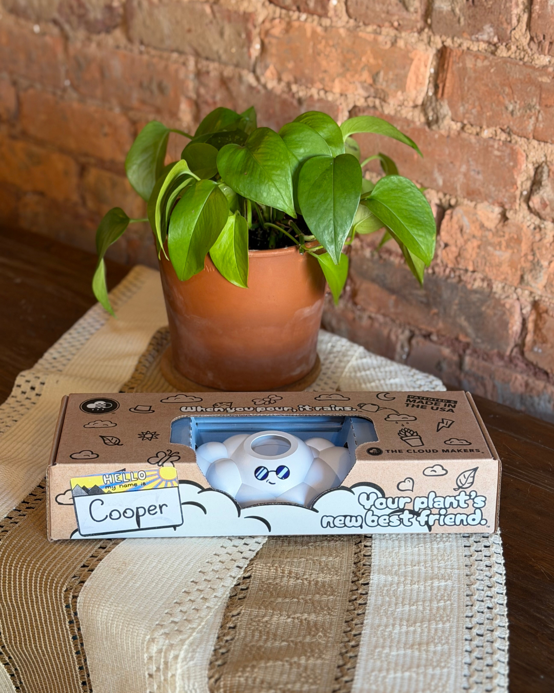 Potted plant on a table with a cardboard box labeled 'Cooper' against a brick wall.