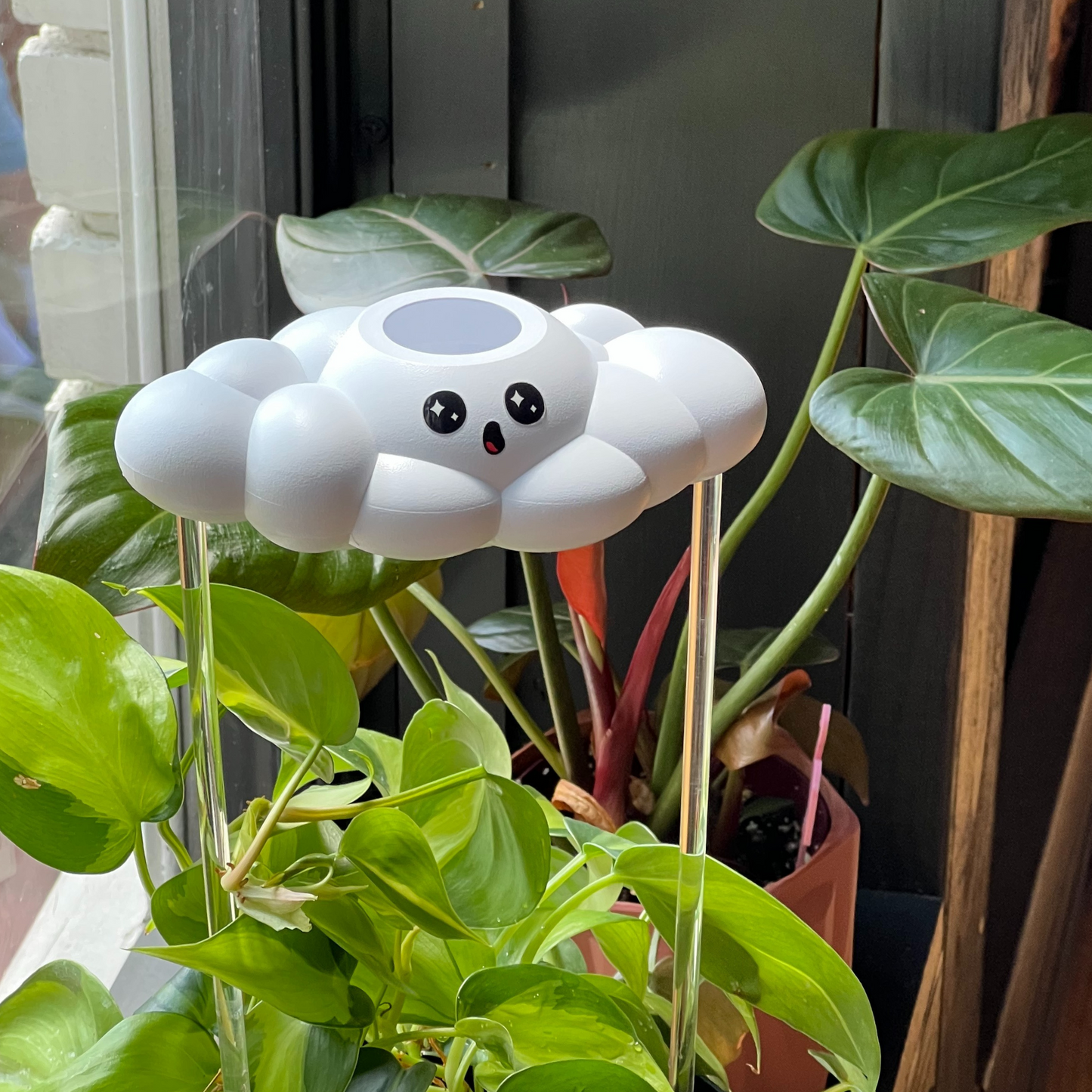 Cosmo the Cloud