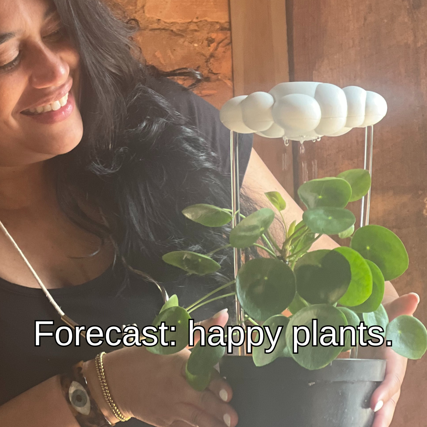 Smiling person holding a pilea plant and dripping rain cloud