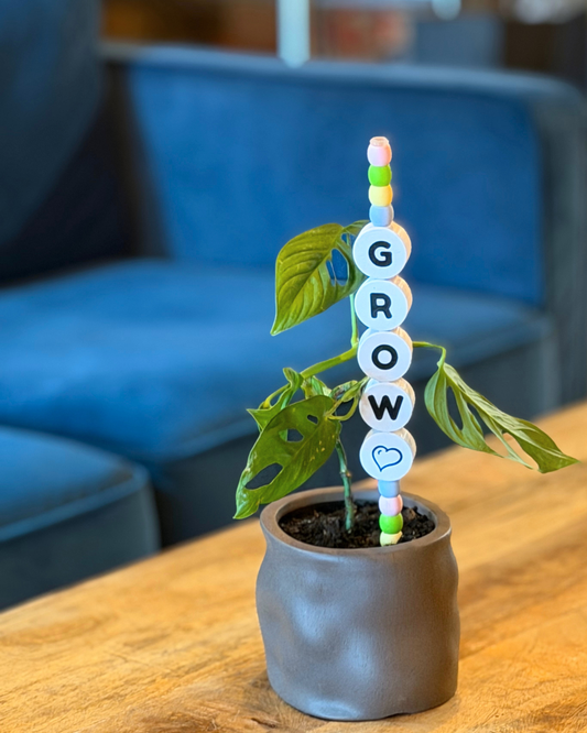 GROW Plant Kandi