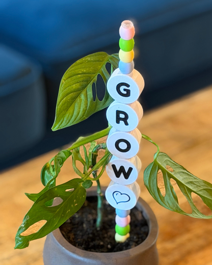 GROW Plant Kandi