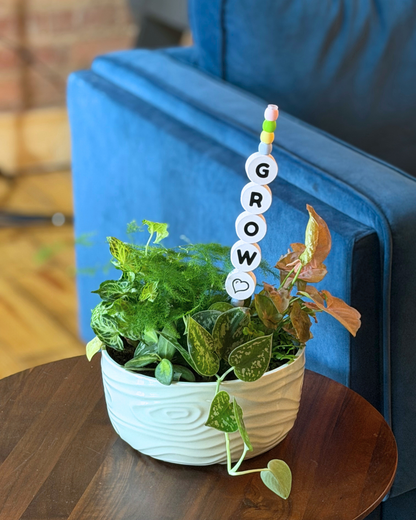 GROW Plant Kandi 4 Count