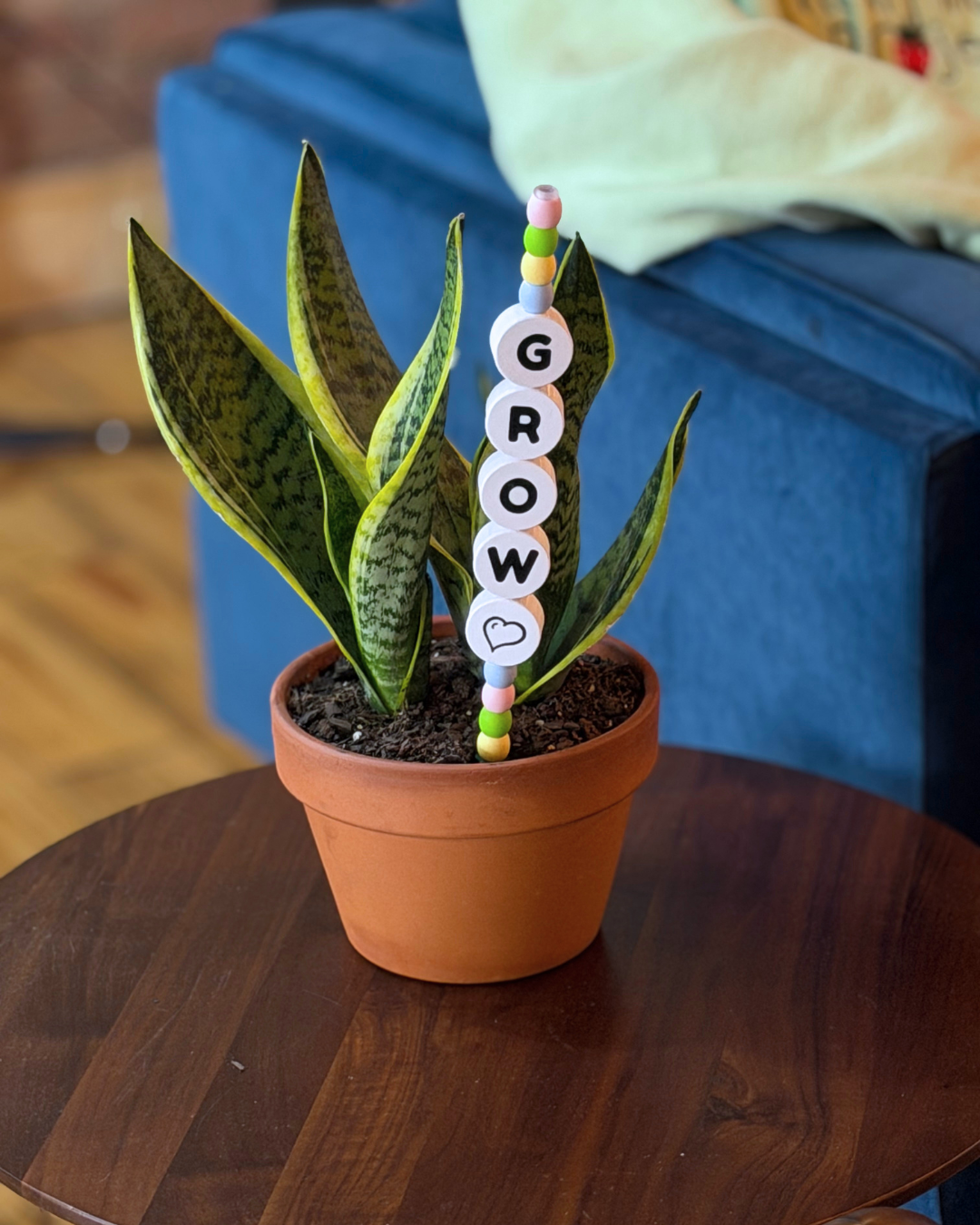 GROW Plant Kandi 4 Count