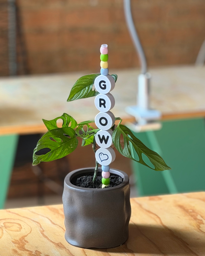 GROW Plant Kandi