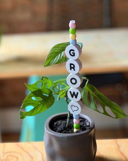 GROW Plant Kandi