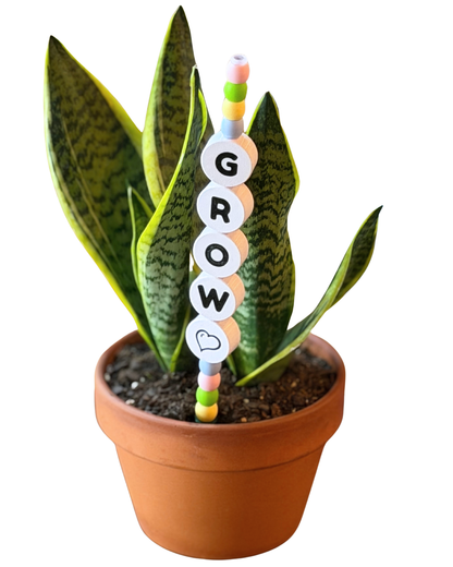 GROW Plant Kandi