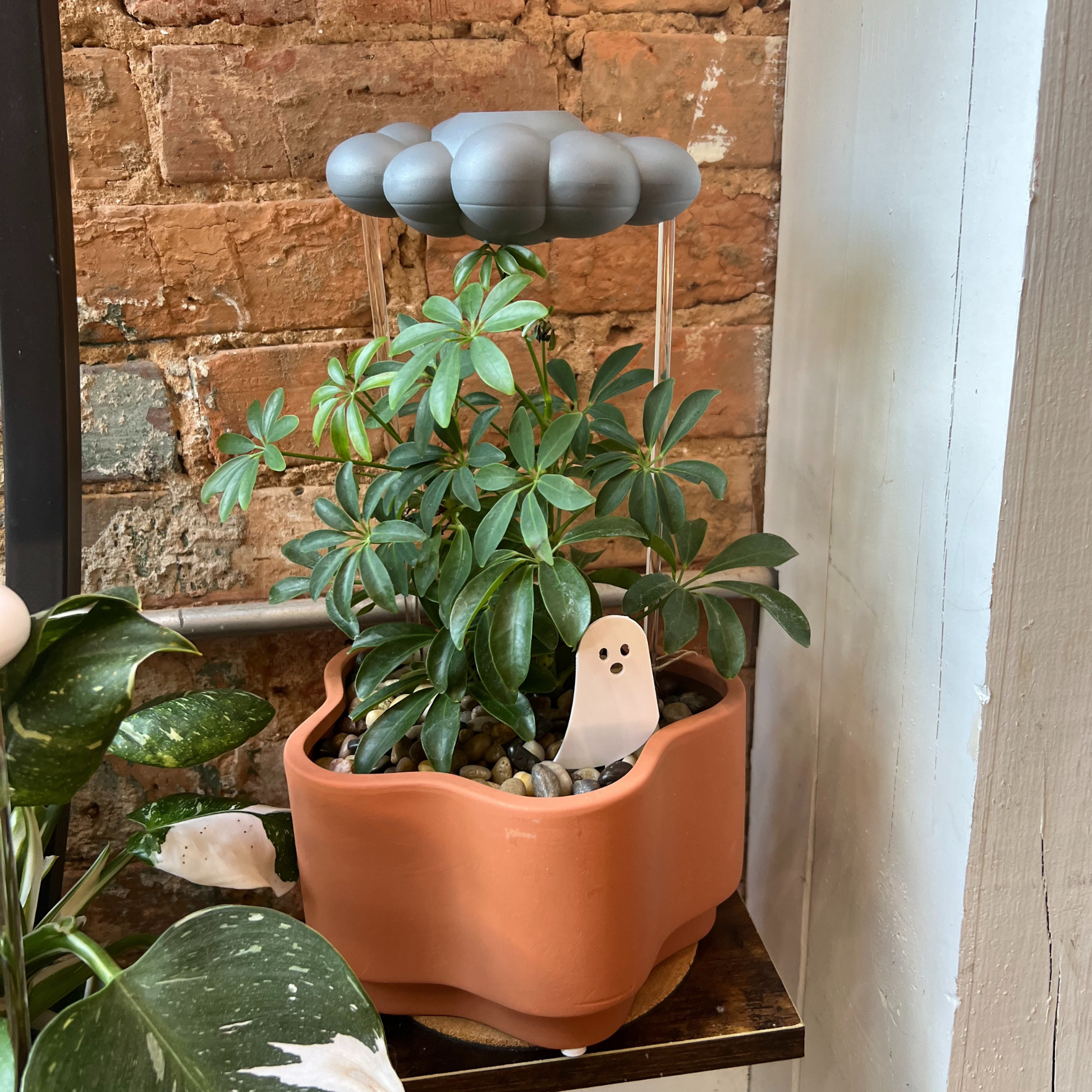 Potted plant with a stormy rain cloud cloud and ghost Plick against a brick wall.