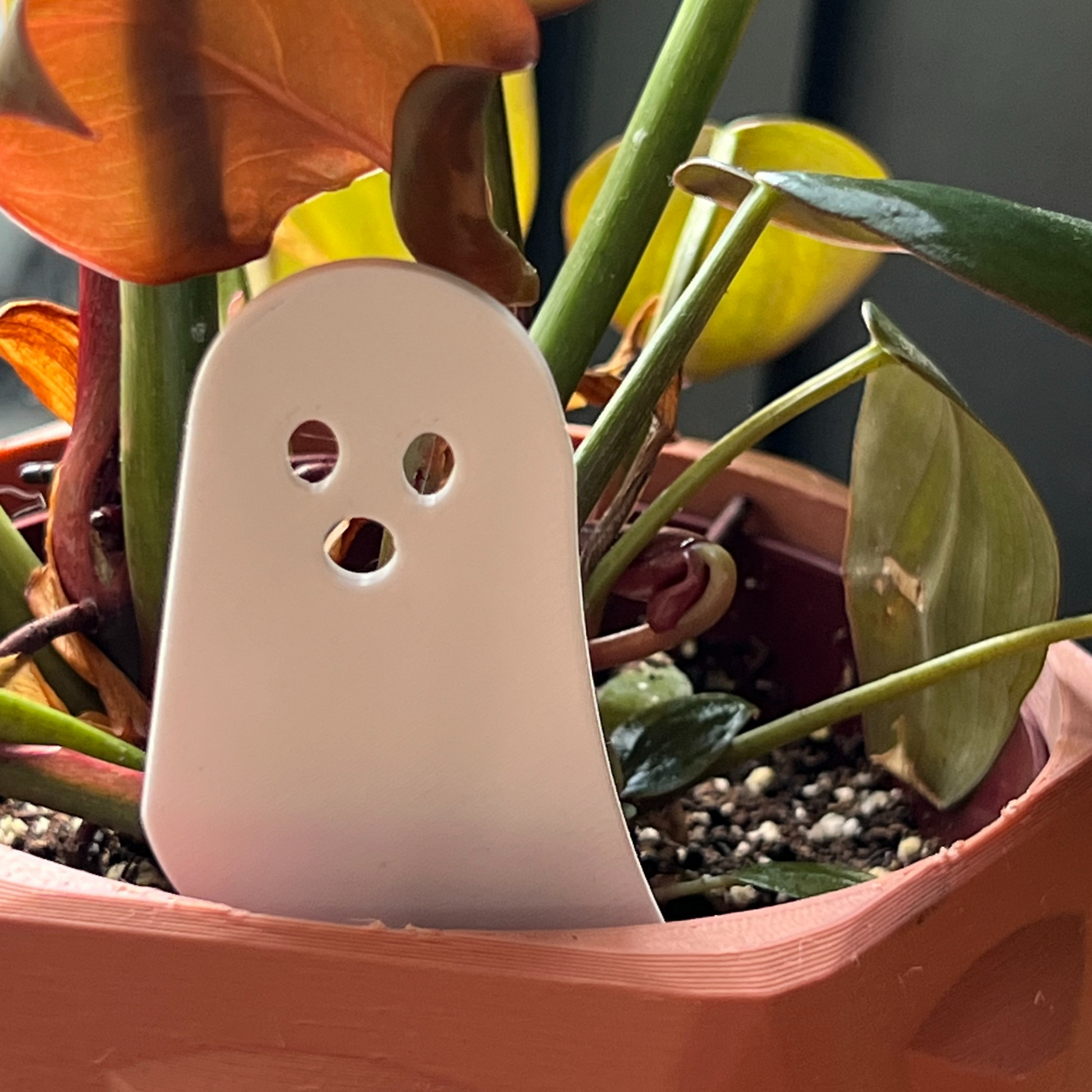 Small potted plant with a white ghost-shaped Plick 