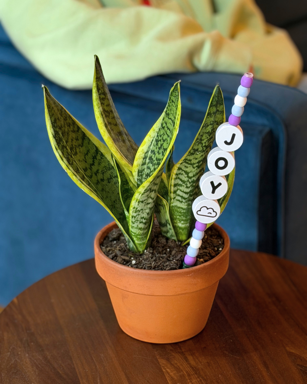 JOY Plant Kandi 4 Count