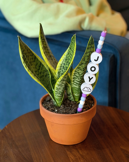 JOY Plant Kandi 4 Count