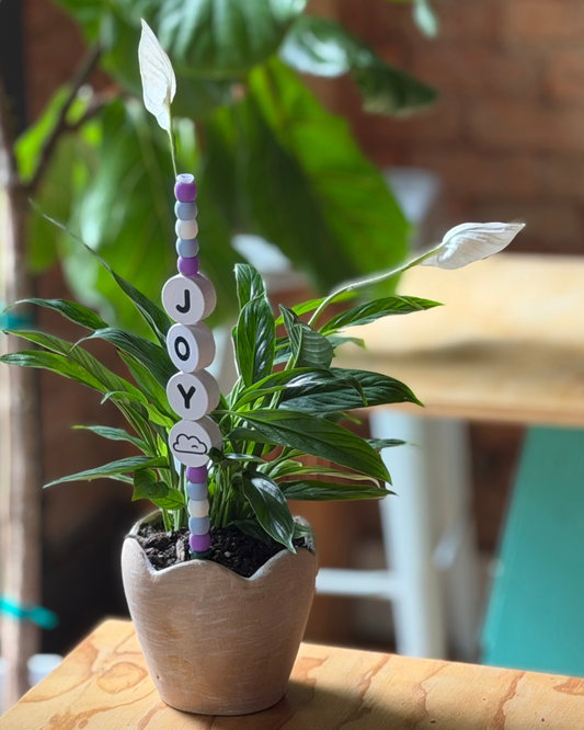 JOY Plant Kandi