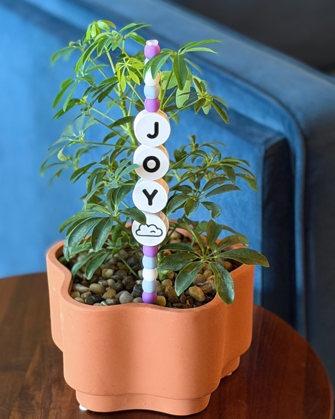 JOY Plant Kandi 4 Count