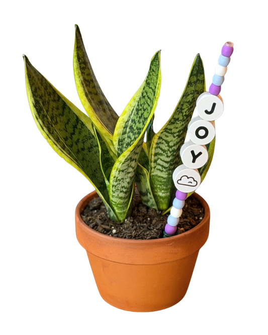 JOY Plant Kandi 4 Count