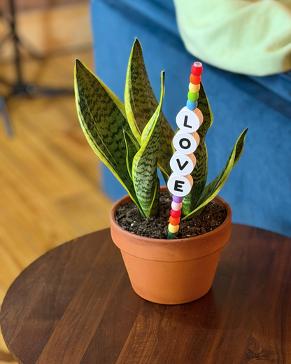 LOVE Plant Kandi