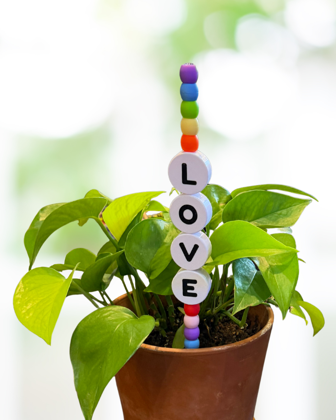 Potted plant with a colorful 'LOVE' bead decoration against a blurred green background