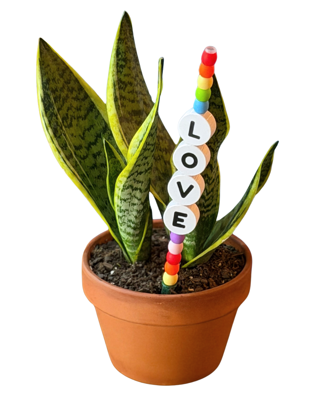Plant Kandi Boutique Pack