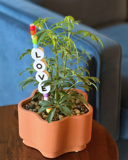 LOVE Plant Kandi