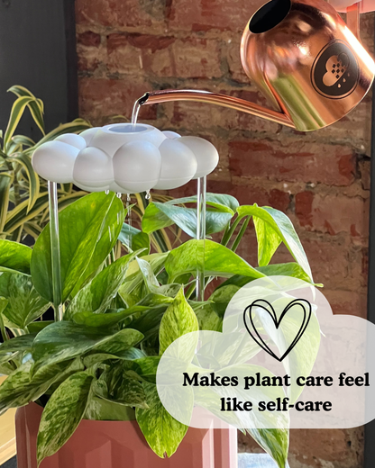 Original dripping rain cloud in potted plant with text saying "Makes plant care feel like self care"