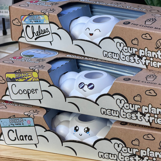 Series 001 Mixed Case