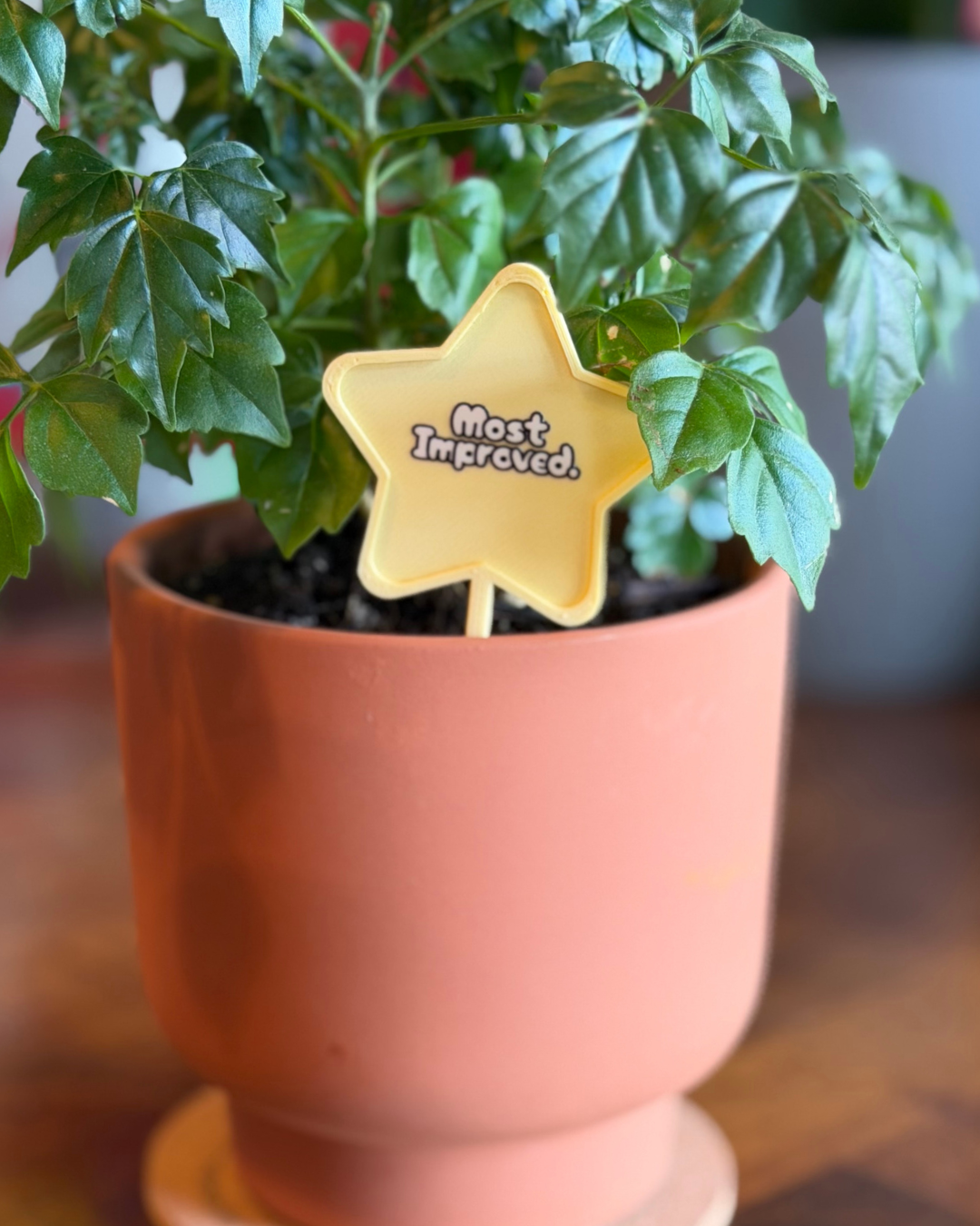 Superlative Plicks for Plants