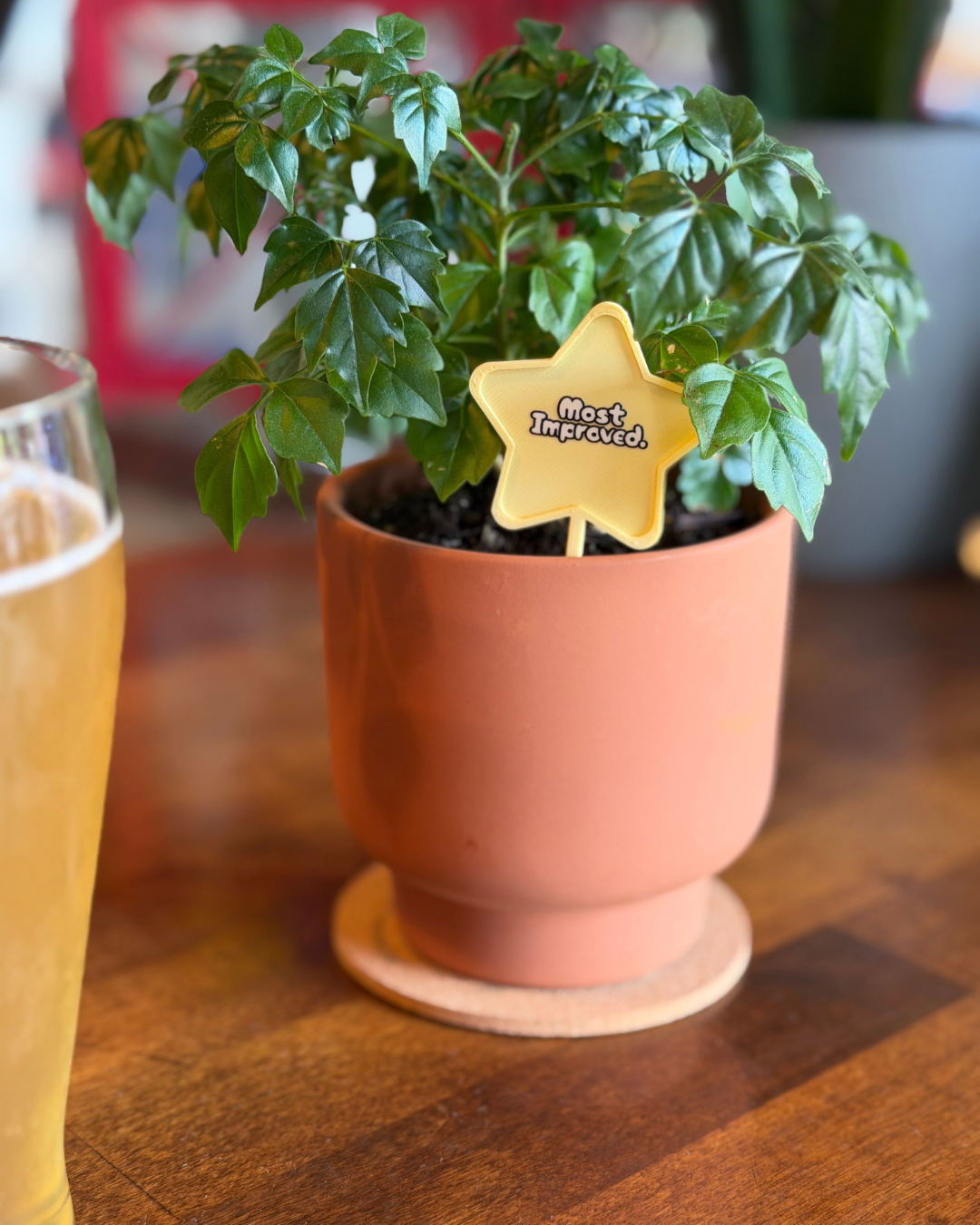 Superlative Plicks for Plants