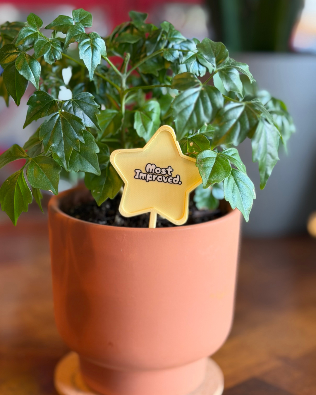 Superlative Plicks for Plants