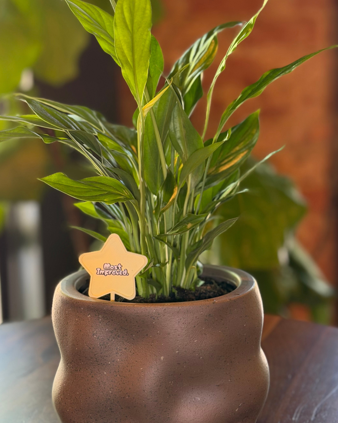 Superlative Plicks for Plants